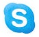 RankIntent Skype
